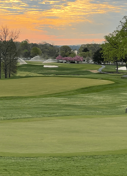 Tahoma Bermudagrass Riverside Turf